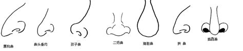 鼻環面相|麦玲玲面相讲座之 鼻子 – 人相学